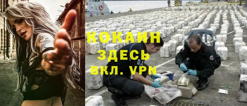 Cocaine Эквадор  хочу   Венёв 